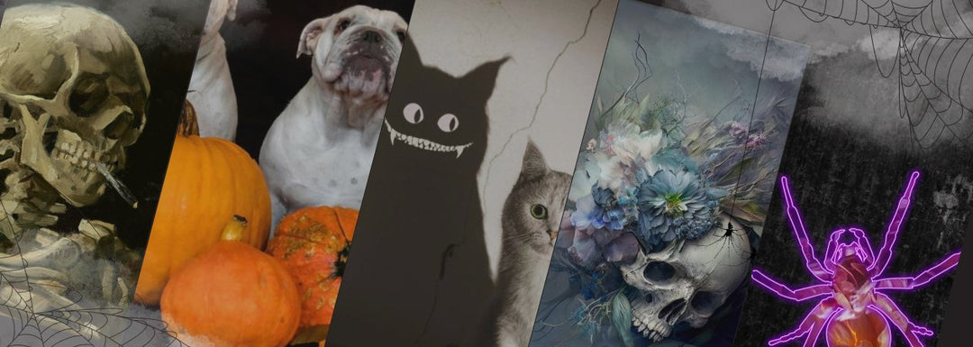 Halloween Wall Art is a perfect way to get a spooky space. Featuring modern representations of subjects such as bats, cats, pumpkins and more. 