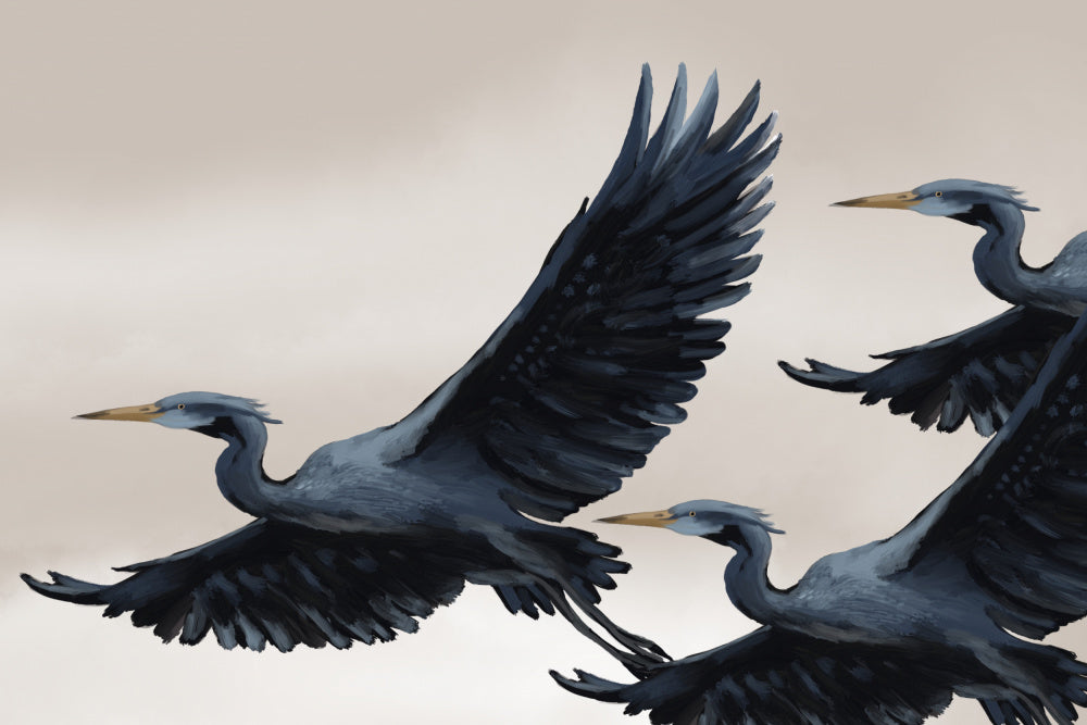 "Graceful Flying Herons" by Josie George — Animal Wall Art