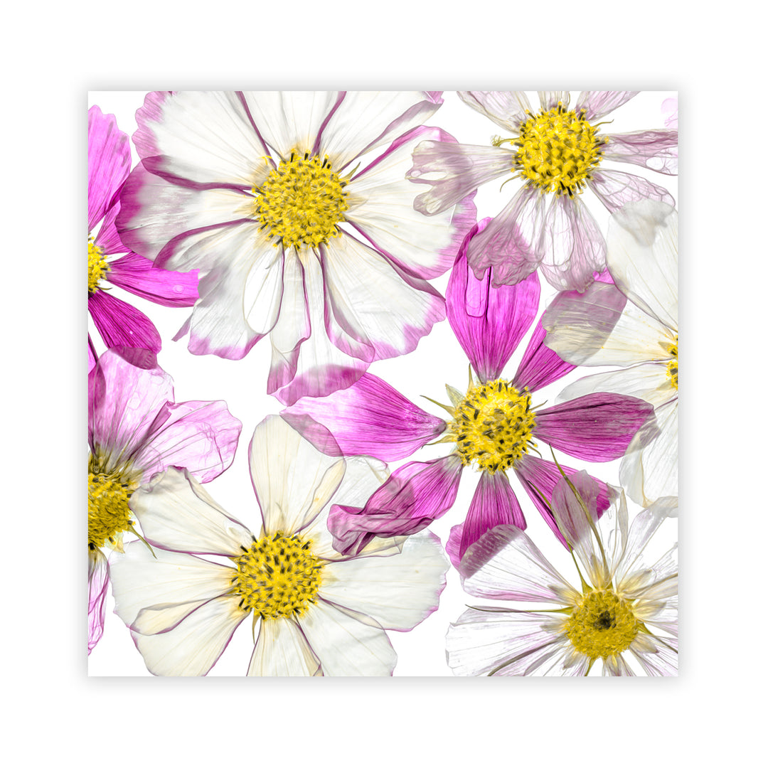 "Keeping Summer" Acrylic Wall Art