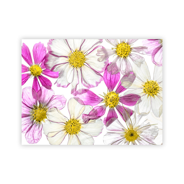 "Keeping Summer" Acrylic Wall Art