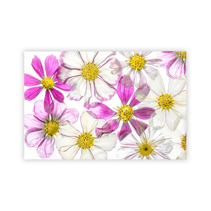 "Keeping Summer" Acrylic Wall Art