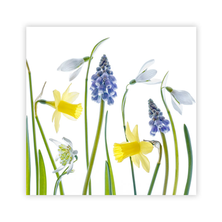 "Spring" Acrylic Wall Art