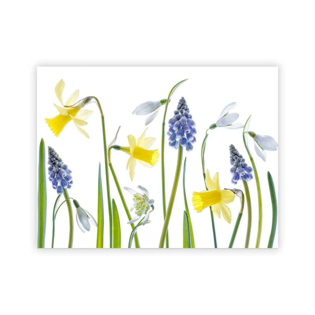 "Spring" Acrylic Wall Art