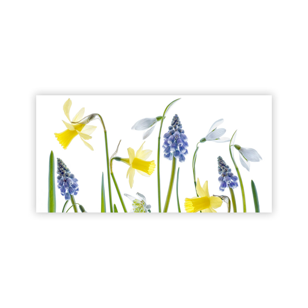 "Spring" Acrylic Wall Art
