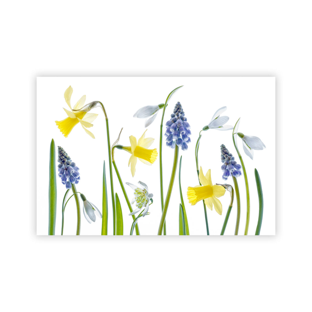 "Spring" Acrylic Wall Art