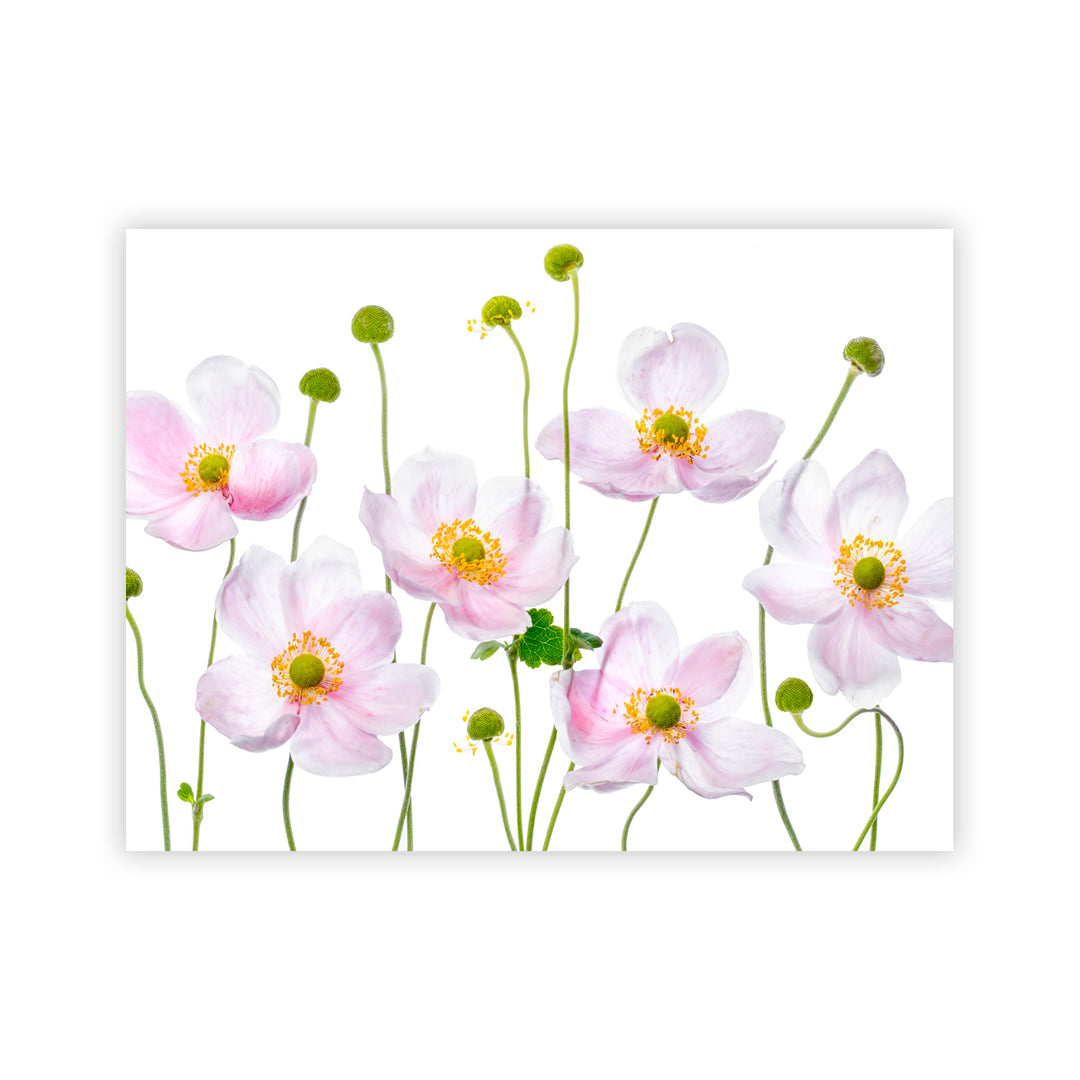 "Japanese Anemones" Acrylic Wall Art