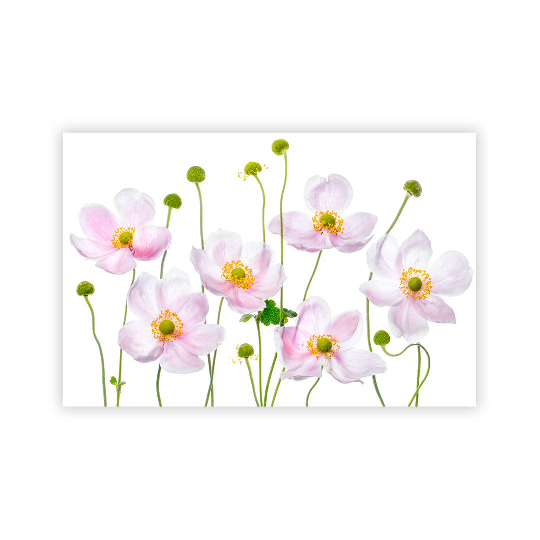 "Japanese Anemones" Acrylic Wall Art