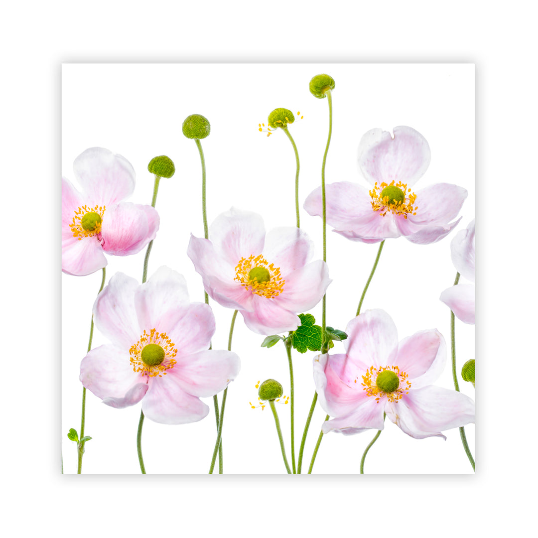 "Japanese Anemones" Acrylic Wall Art