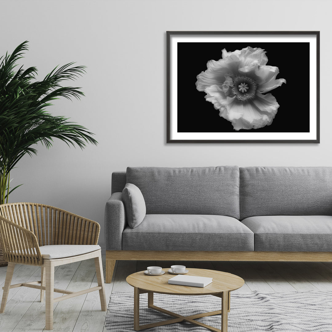 "Poppy in Mono" Framed Print Wall Ar by Lotte Gronkjar