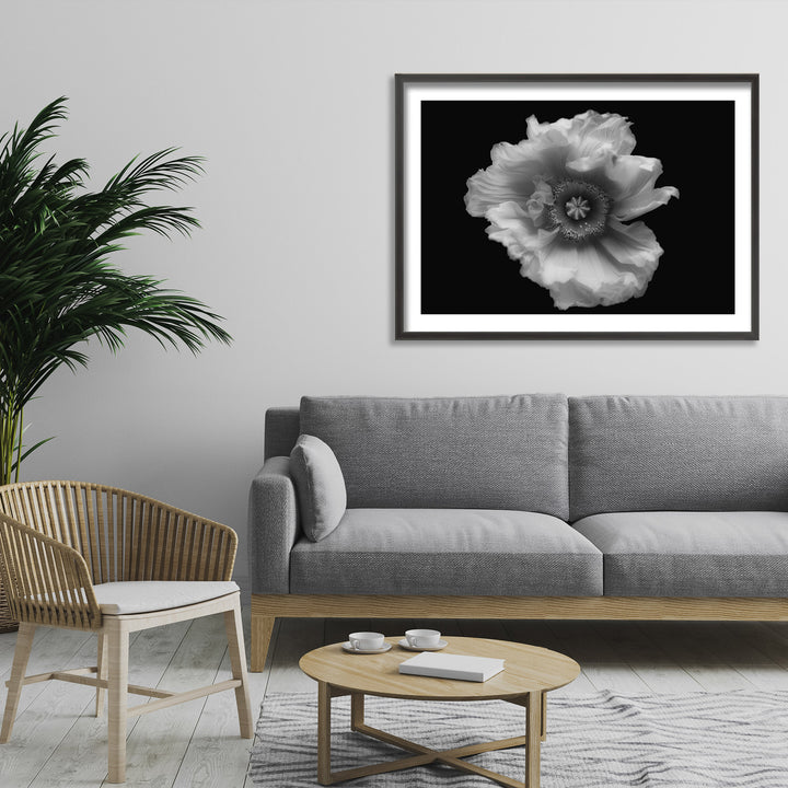 "Poppy in Mono" Framed Print Wall Ar by Lotte Gronkjar