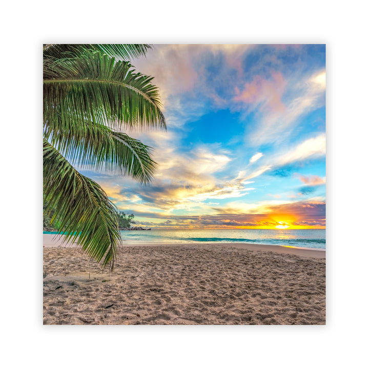 "Sunset Through Palms" Acrylic Wall Art