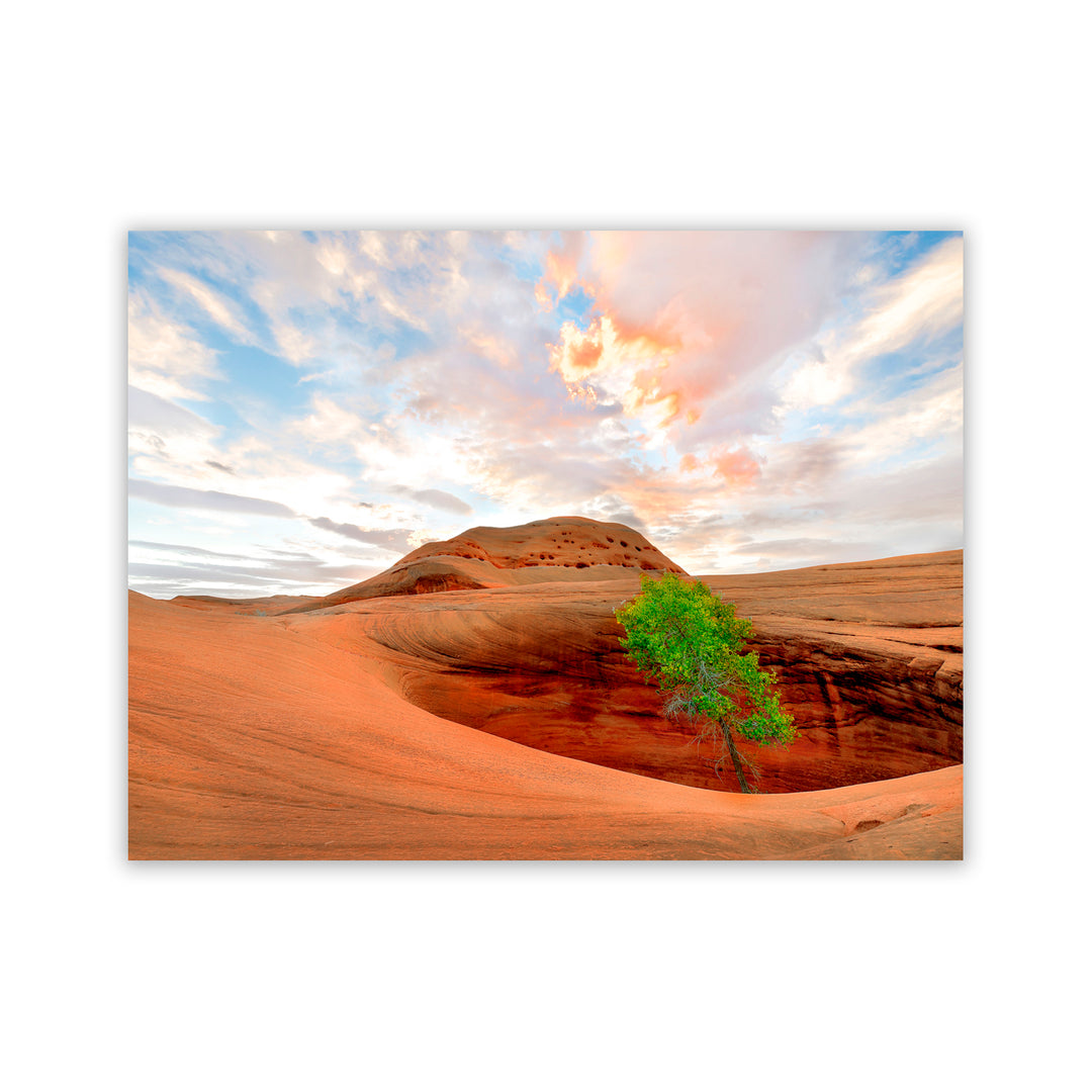 "Survival Instinct" Acrylic Wall Art