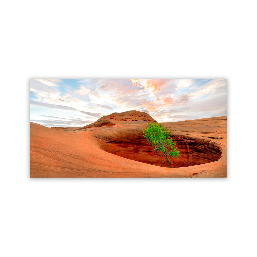 "Survival Instinct" Acrylic Wall Art