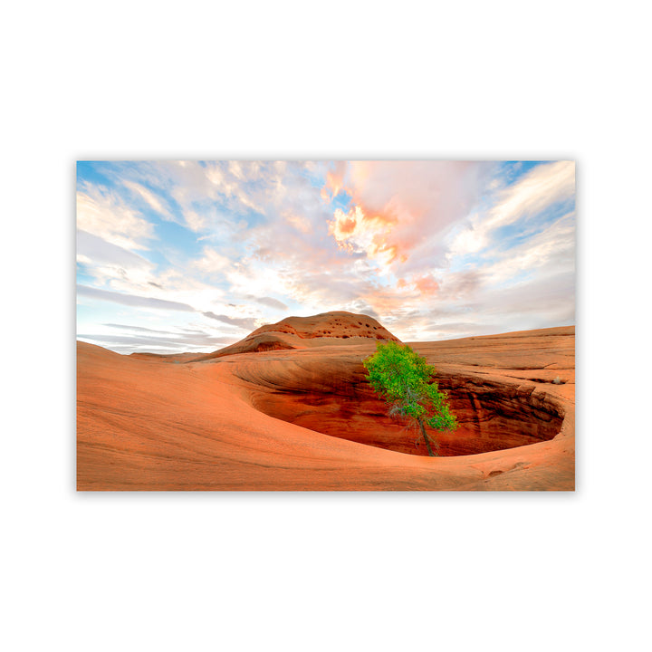 "Survival Instinct" Acrylic Wall Art