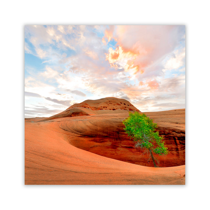 "Survival Instinct" Acrylic Wall Art