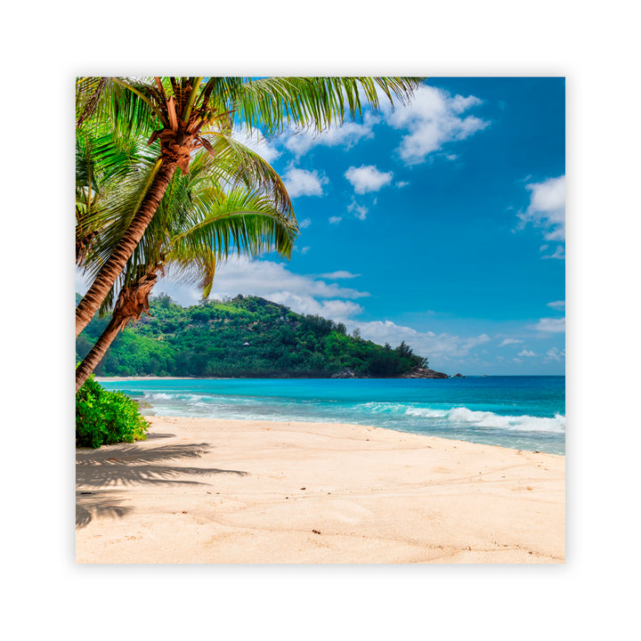 "Caribbean Oasis" Acrylic Wall Art
