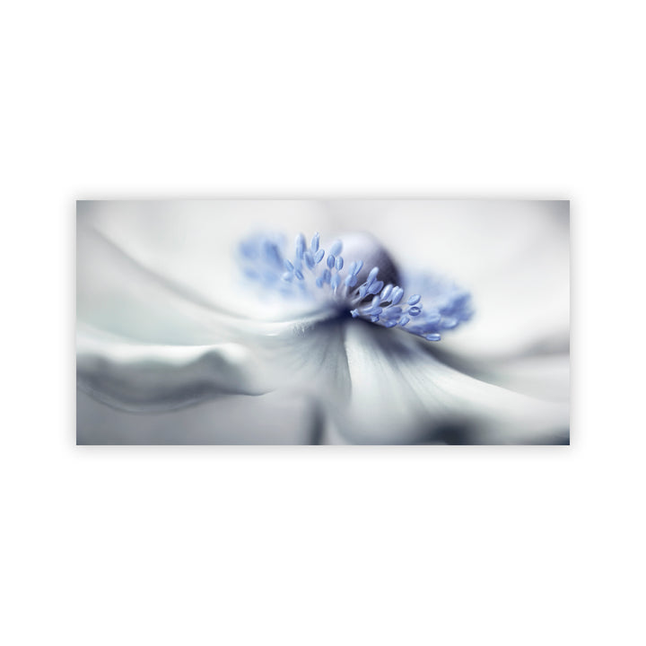 "Anemone spirit" Acrylic Wall Art