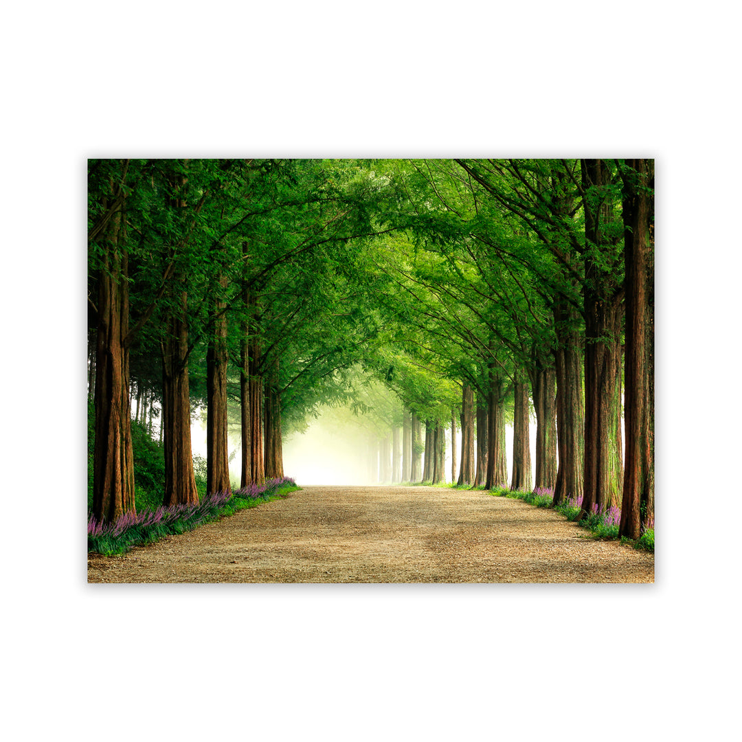 "Metasequoia Road" Acrylic Wall Art