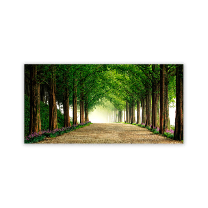 "Metasequoia Road" Acrylic Wall Art