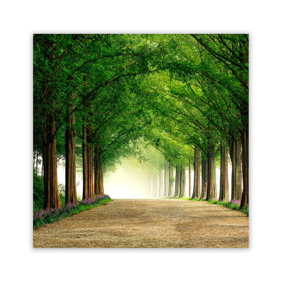 "Metasequoia Road" Acrylic Wall Art