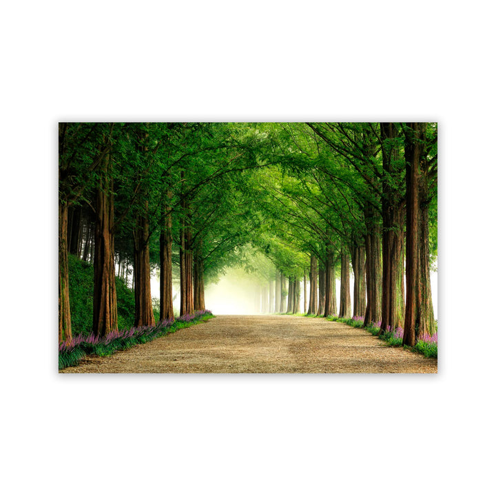 "Metasequoia Road" Acrylic Wall Art