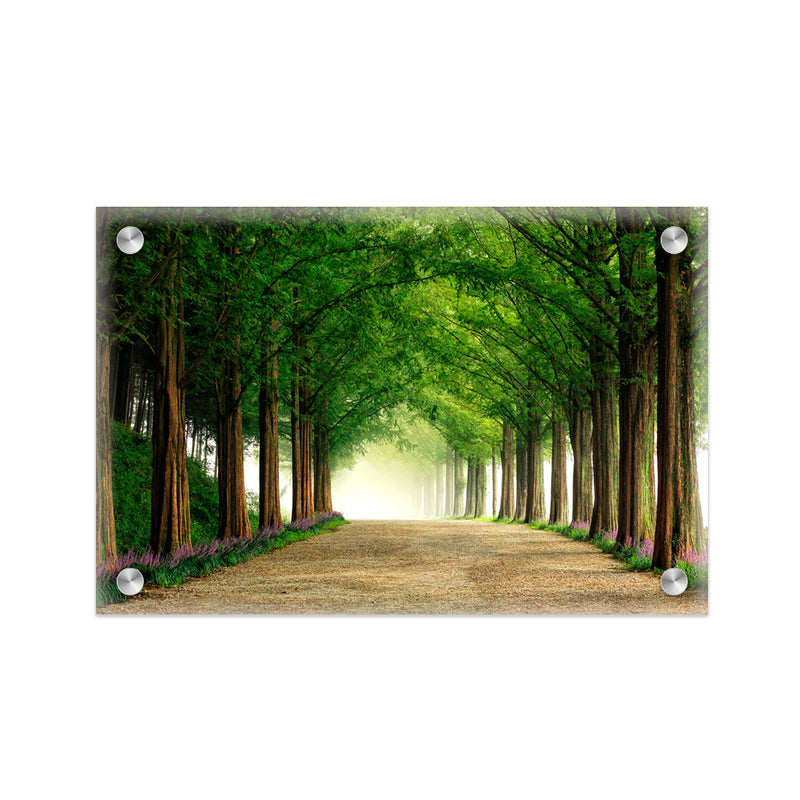 "Metasequoia Road" Acrylic Wall Art