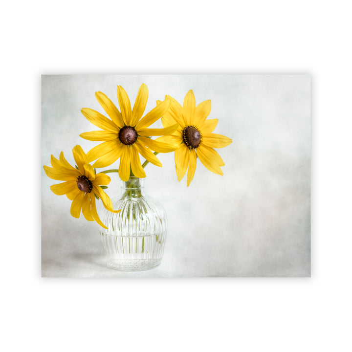 "Rudbeckia" Acrylic Wall Art