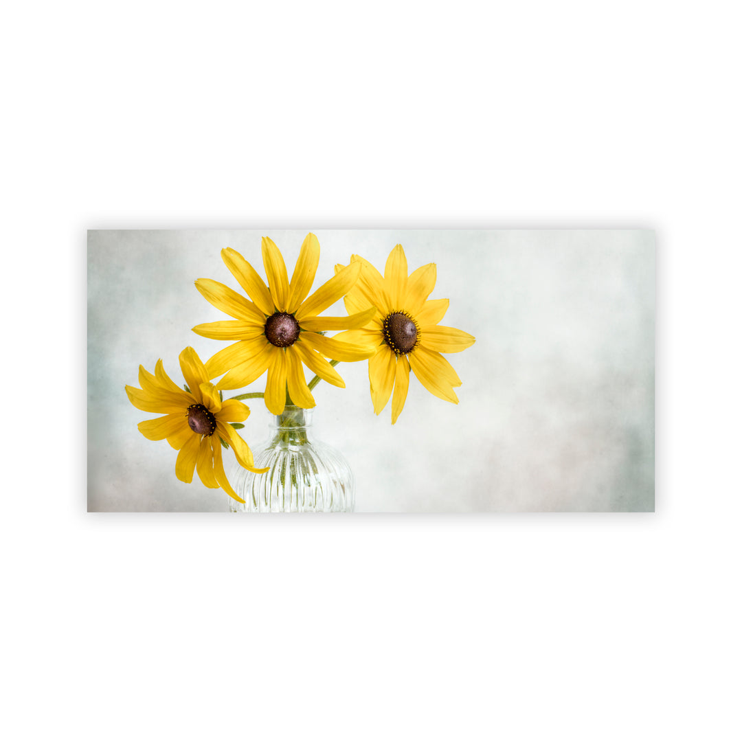 "Rudbeckia" Acrylic Wall Art