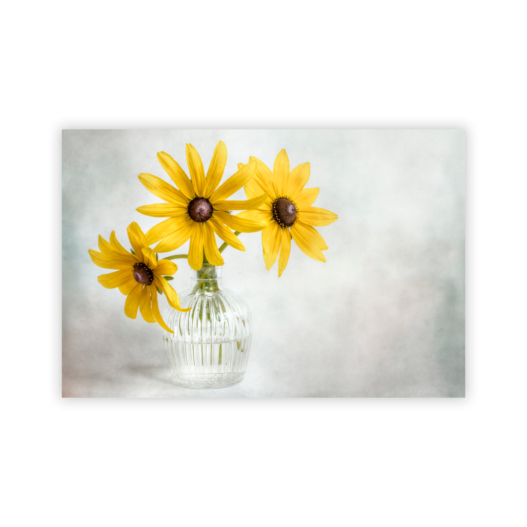 "Rudbeckia" Acrylic Wall Art