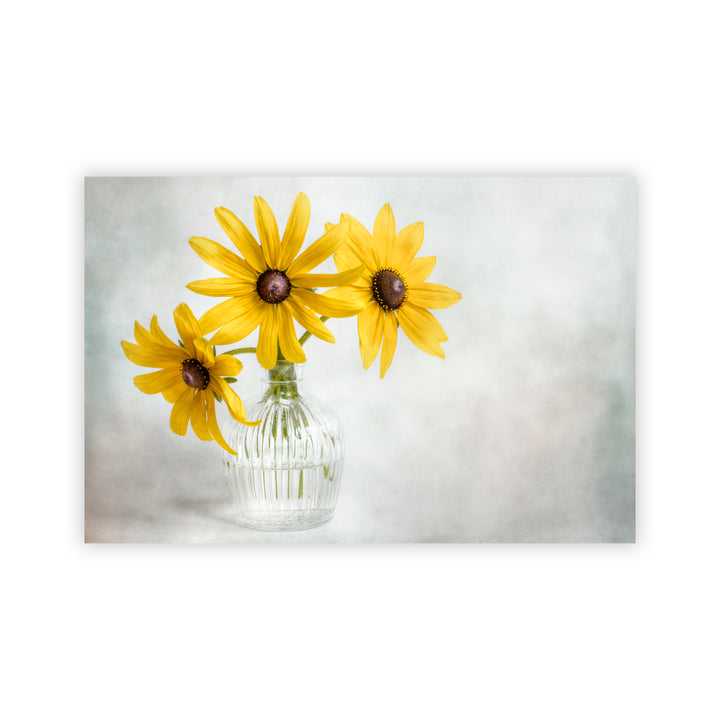 "Rudbeckia" Acrylic Wall Art