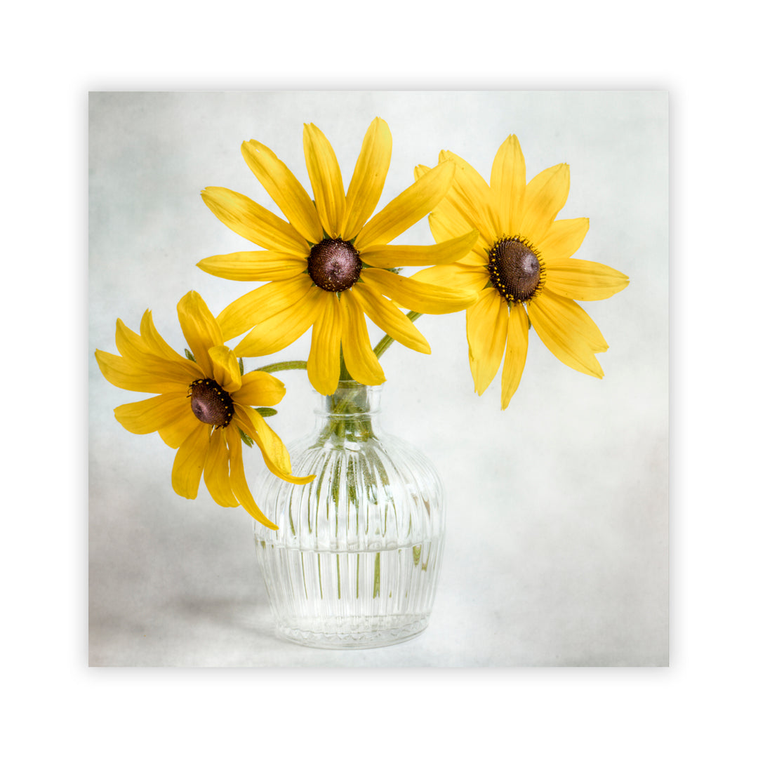 "Rudbeckia" Acrylic Wall Art