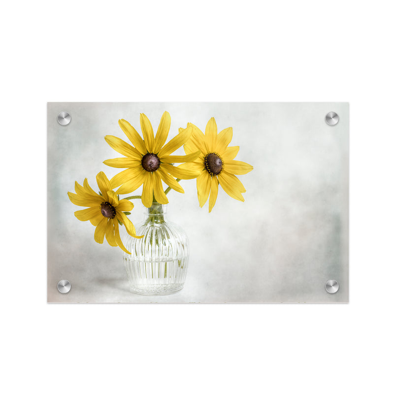 "Rudbeckia" Acrylic Wall Art