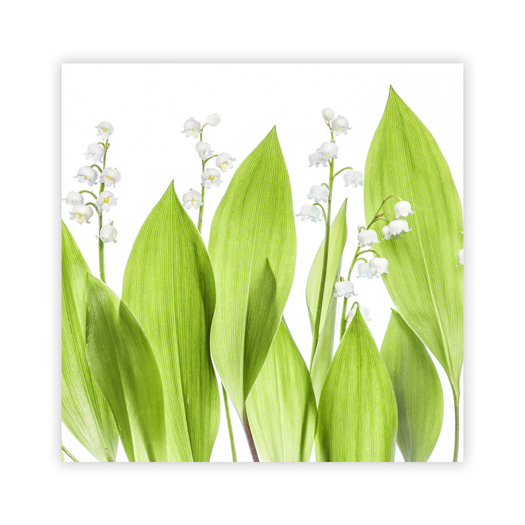 "Lily of the valley" Acrylic Wall Art