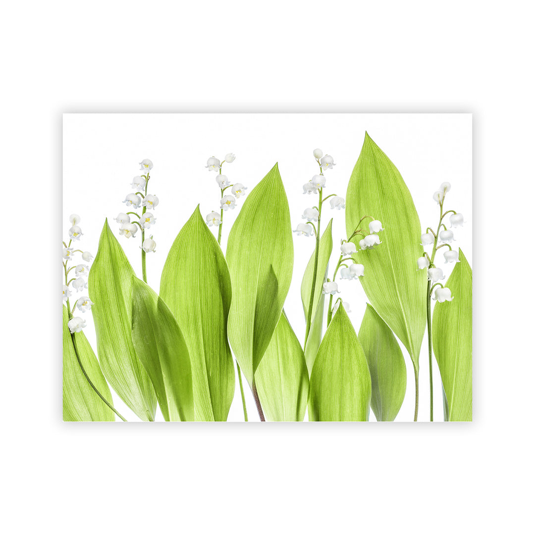 "Lily of the valley" Acrylic Wall Art