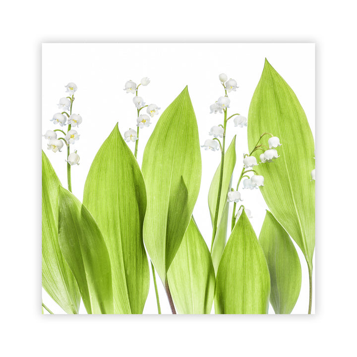 "Lily of the valley" Acrylic Wall Art
