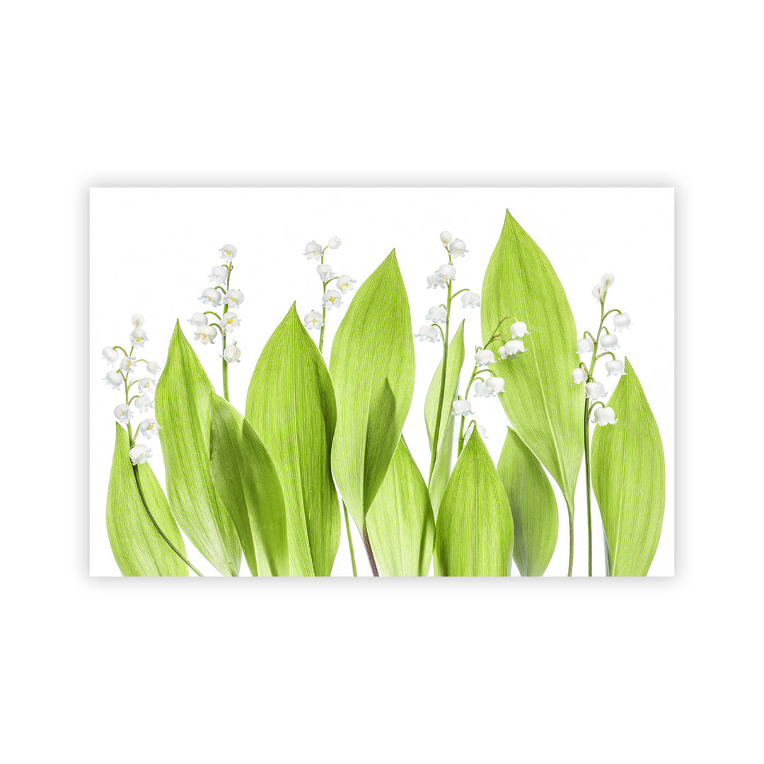 "Lily of the valley" Acrylic Wall Art