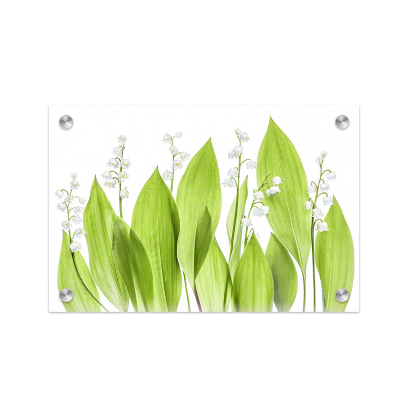 "Lily of the valley" Acrylic Wall Art