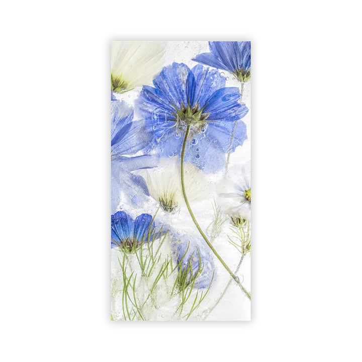 "Cosmos Blue Flower" Acrylic Wall Art