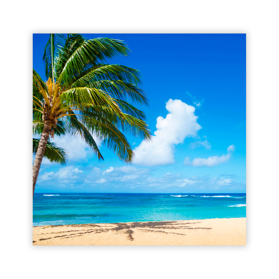 "Island Elegance" Acrylic Wall Art