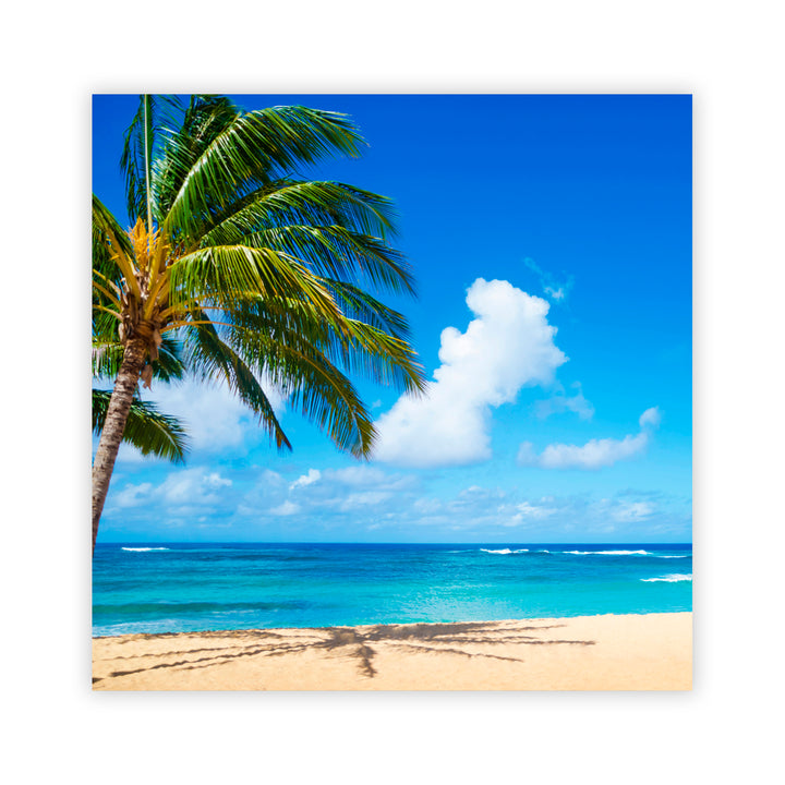 "Island Elegance" Acrylic Wall Art