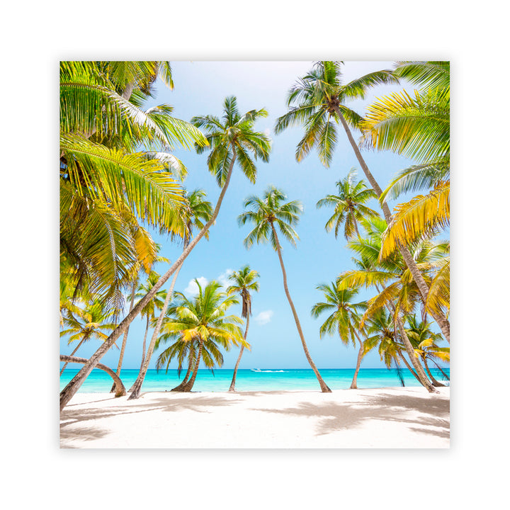 "Caribbean Tranquility" Acrylic Wall Art