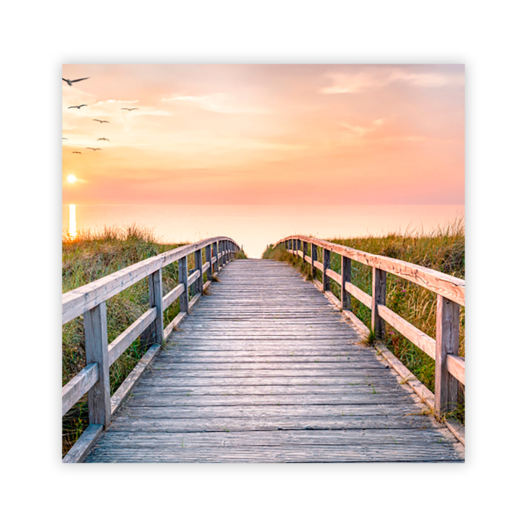 "North Sea Dunes" Acrylic Wall Art