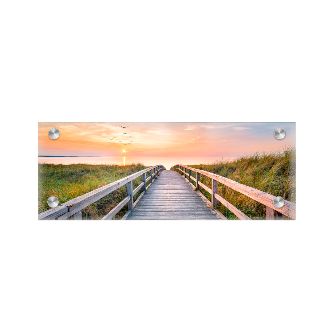 "North Sea Dunes" Acrylic Wall Art