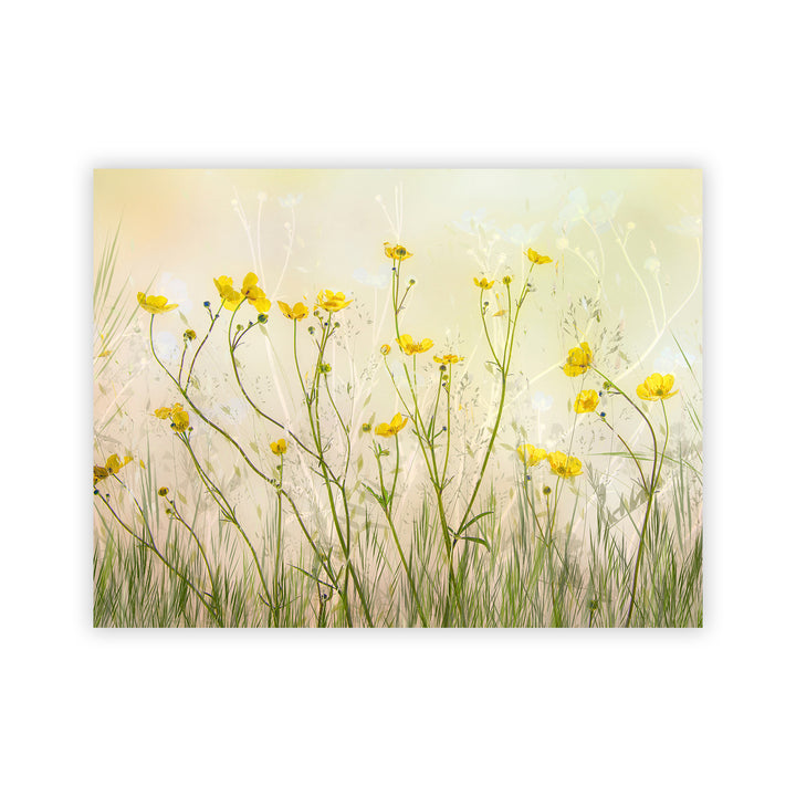 "Morning Flowers" Acrylic Wall Art