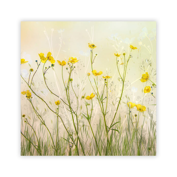 "Morning Flowers" Acrylic Wall Art