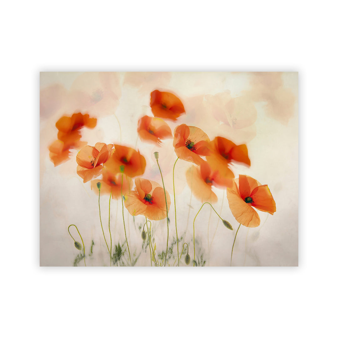 "Windy Poppies" Acrylic Wall Art