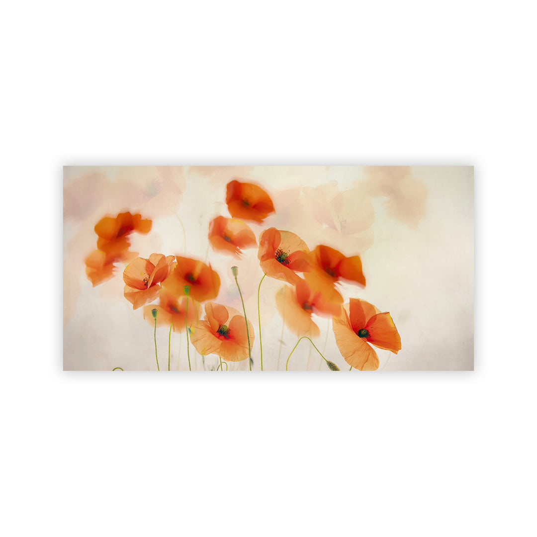 "Windy Poppies" Acrylic Wall Art