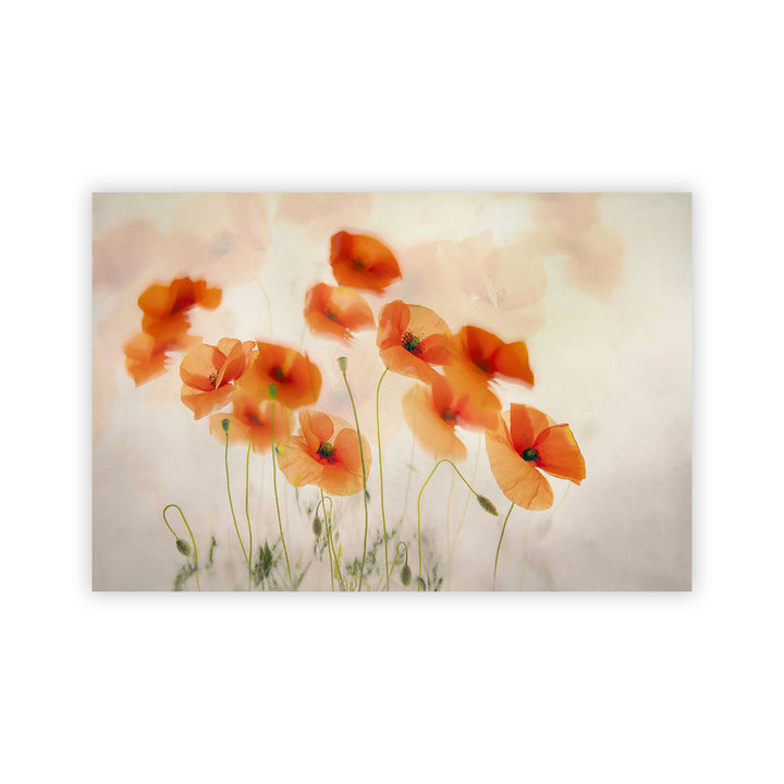 "Windy Poppies" Acrylic Wall Art