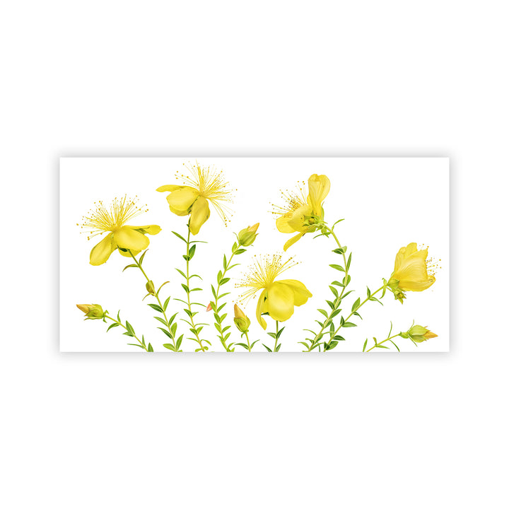 "Hypericum" Acrylic Wall Art