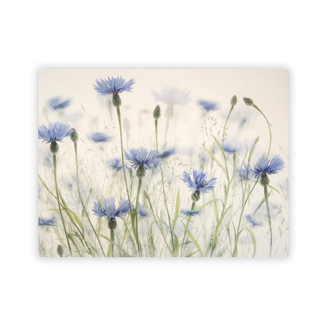 "Cornflowers" Acrylic Wall Art
